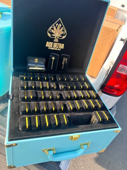 ace carts