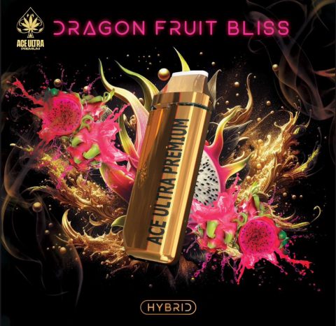 Dragon Fruits Bliss | Hybrid
