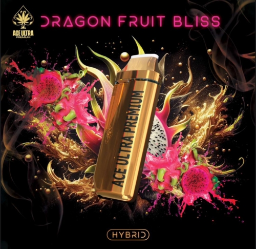 Dragon Fruits Bliss | Hybrid