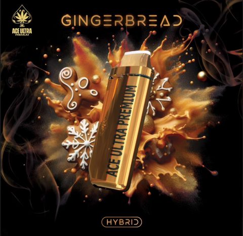 Gingerbread | Hybrid